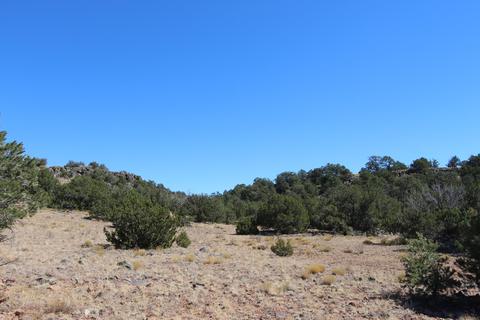 8146 E Roper Cir, Williams, AZ 86046 photo 7
