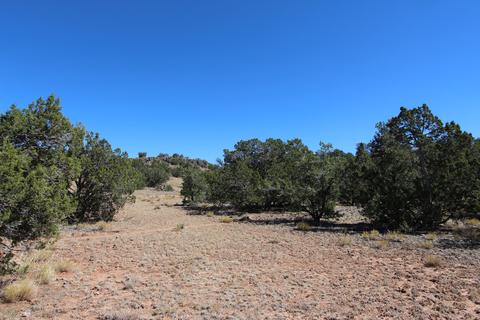 8146 E Roper Cir, Williams, AZ 86046 photo 8