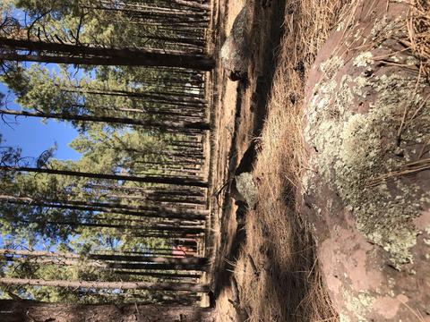 7549 E Long Bow Dr, Williams, AZ 86046 photo 7