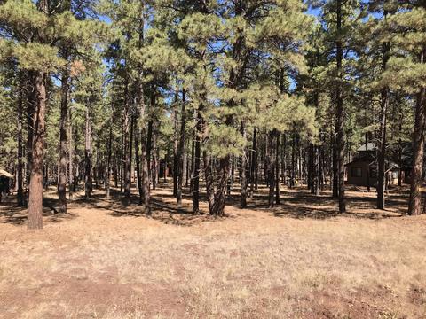 7549 E Long Bow Dr, Williams, AZ 86046 photo 2