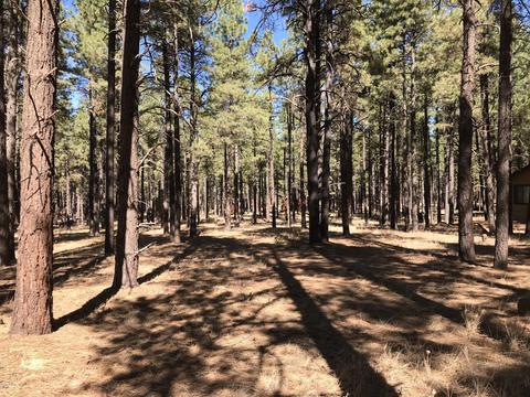 7549 E Long Bow Dr, Williams, AZ 86046 photo 4