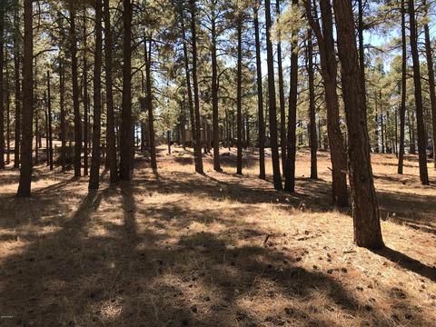 7549 E Long Bow Dr, Williams, AZ 86046 photo 6