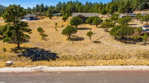 263 Trilogy Dr, Williams, AZ 86046 photo 5