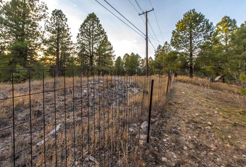 403 E Mohawk Dr, Flagstaff, AZ 86001 photo 19