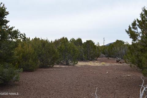 2108 E Spruce St, Williams, AZ 86046 photo 4
