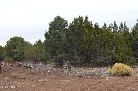 2108 E Spruce St, Williams, AZ 86046 photo 6