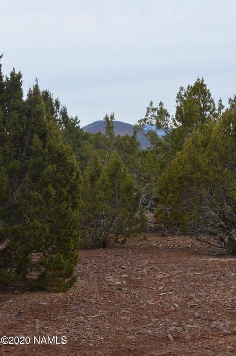 2108 E Spruce St, Williams, AZ 86046 photo 14
