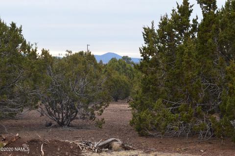2108 E Spruce St, Williams, AZ 86046 photo 5