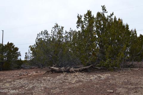 2108 E Spruce St, Williams, AZ 86046 photo 11