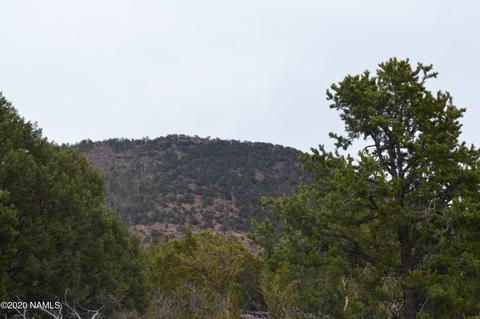 2108 E Spruce St, Williams, AZ 86046 photo 2