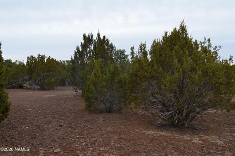 2108 E Spruce St, Williams, AZ 86046 photo 18