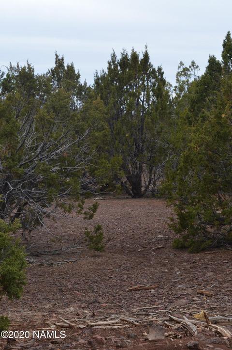 2108 E Spruce St, Williams, AZ 86046 photo 7