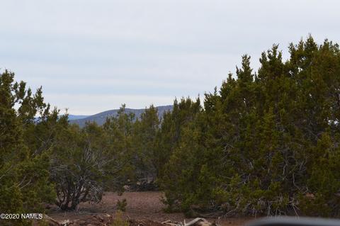 2108 E Spruce St, Williams, AZ 86046 photo 3