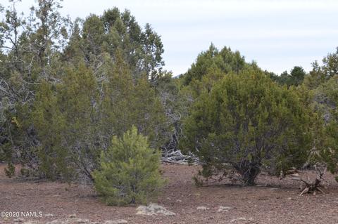 2108 E Spruce St, Williams, AZ 86046 photo 10
