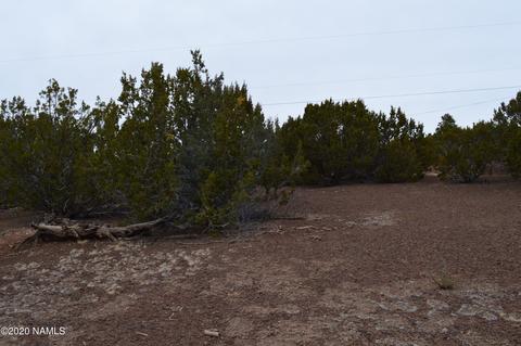 2108 E Spruce St, Williams, AZ 86046 photo 12