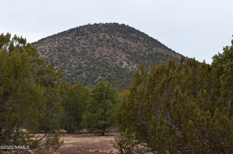 2108 E Spruce St, Williams, AZ 86046 photo 8