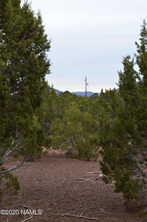 2108 E Spruce St, Williams, AZ 86046 photo 17
