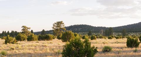 2872 E Spring Valley Rd, Williams, AZ 86046 photo 6