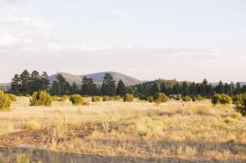 2872 E Spring Valley Rd, Williams, AZ 86046 photo 7