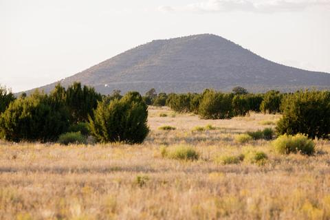 2872 E Spring Valley Rd, Williams, AZ 86046 photo 4