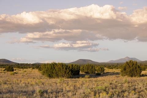 2872 E Spring Valley Rd, Williams, AZ 86046 photo 5