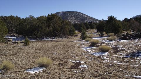 2146 E Clear Point Way, Williams, AZ 86046 photo 4