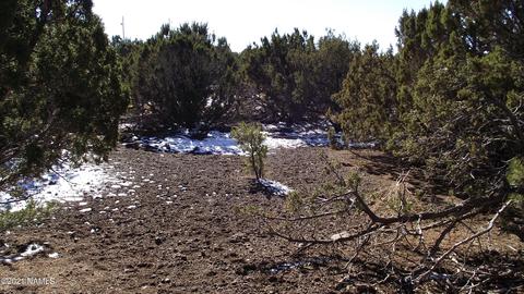 2146 E Clear Point Way, Williams, AZ 86046 photo 2