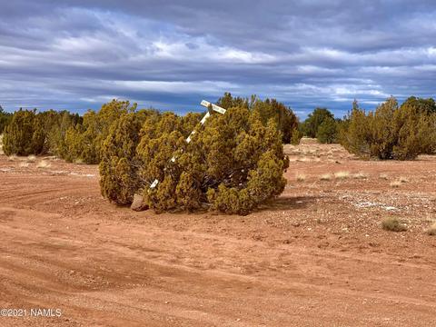 4207 Evergreen Ln, Williams, AZ 86046 photo 6