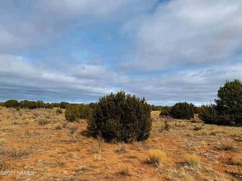 4207 Evergreen Ln, Williams, AZ 86046 photo 1