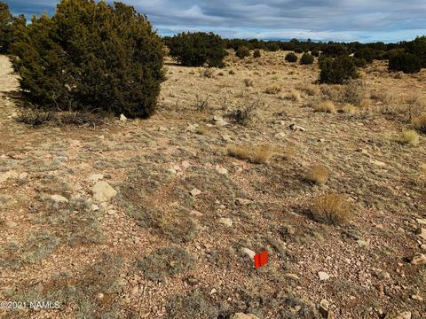 4207 Evergreen Ln, Williams, AZ 86046 photo 4