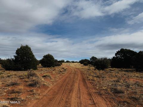 4207 Evergreen Ln, Williams, AZ 86046 photo 2