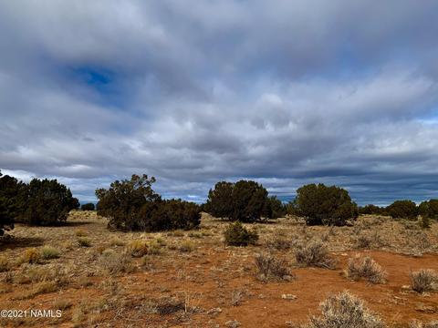 4207 Evergreen Ln, Williams, AZ 86046 photo 3
