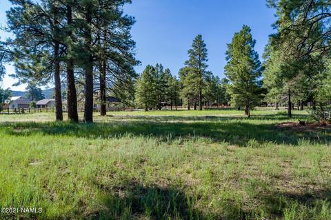 2831 W Burning Tree Dr, Williams, AZ 86046 photo 5