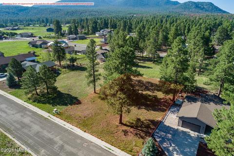2831 W Burning Tree Dr, Williams, AZ 86046 photo 1