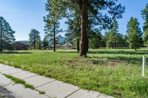 2831 W Burning Tree Dr, Williams, AZ 86046 photo 6
