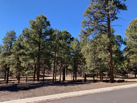 3764 E Jacamar Dr, Flagstaff, AZ 86004 photo 4