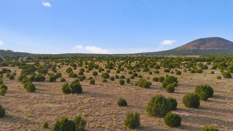 1191 E Hoctor Rd, Williams, AZ 86046 photo 3