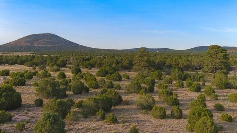 1191 E Hoctor Rd, Williams, AZ 86046 photo 1