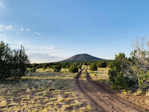 1191 E Hoctor Rd, Williams, AZ 86046 photo 9