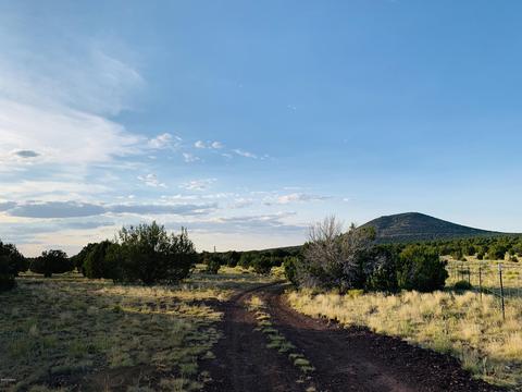 1191 E Hoctor Rd, Williams, AZ 86046 photo 7