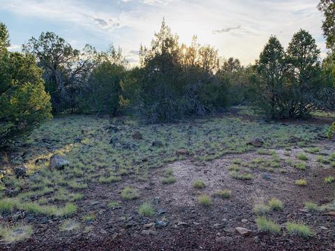 1191 E Hoctor Rd, Williams, AZ 86046 photo 8