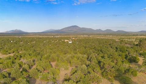 1191 E Hoctor Rd, Williams, AZ 86046 photo 2