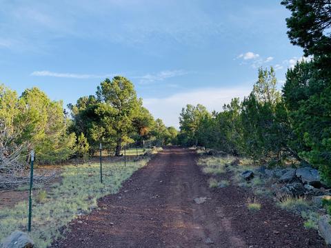 1191 E Hoctor Rd, Williams, AZ 86046 photo 5