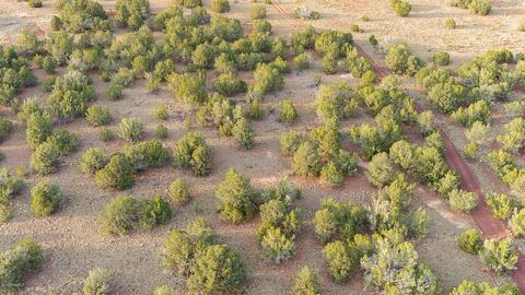 1191 E Hoctor Rd, Williams, AZ 86046 photo 13