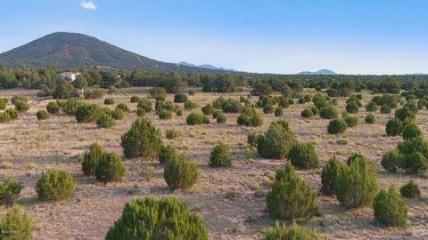 1191 E Hoctor Rd, Williams, AZ 86046 photo 11