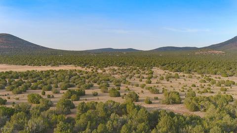 1191 E Hoctor Rd, Williams, AZ 86046 photo 4