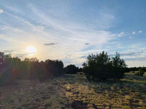 1191 E Hoctor Rd, Williams, AZ 86046 photo 6