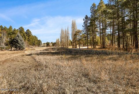 4225 E Coburn Dr, Flagstaff, AZ 86004 photo 37