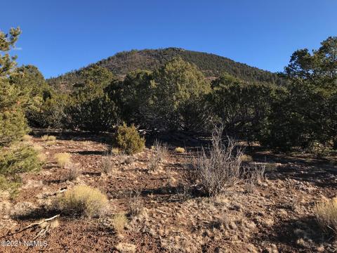 2846 E Overlook Dr, Williams, AZ 86046 photo 1