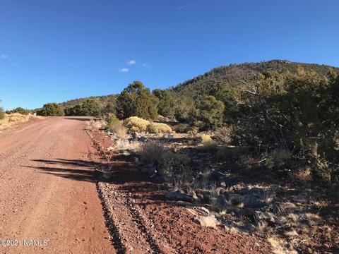 2846 E Overlook Dr, Williams, AZ 86046 photo 2